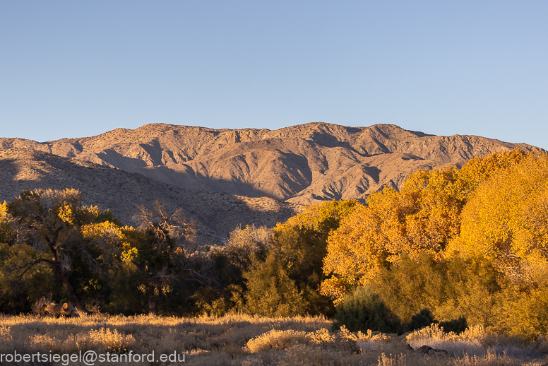 Big Morongo Canyon